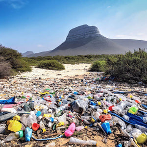 The Impact of Plastic Waste on Southern African Wildlife and Ecosystems